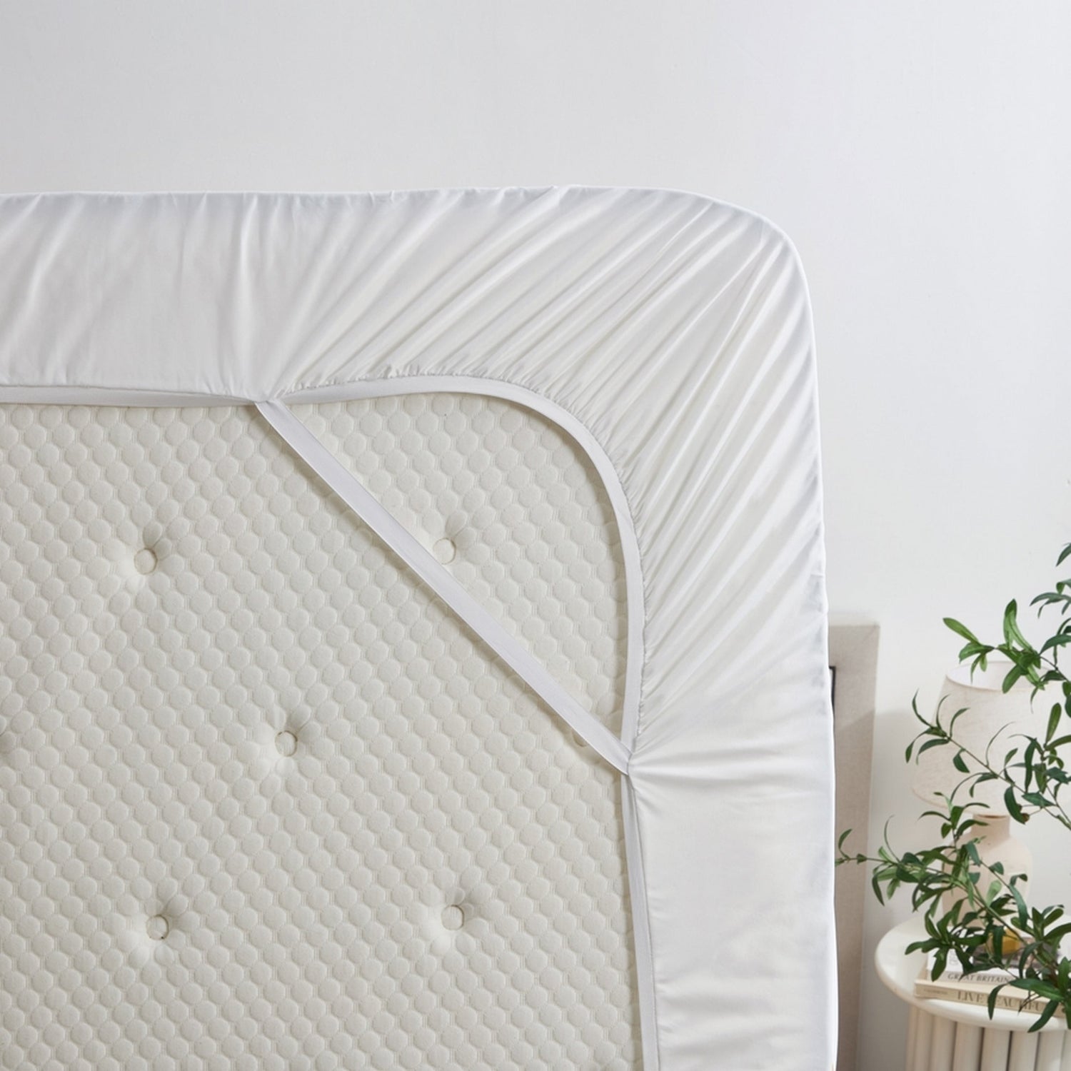 Mattress with a fitted sheet on a bed in a room with a plant.