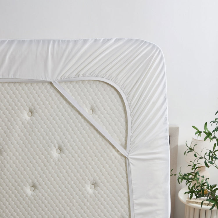 Mattress with a fitted sheet on a bed in a room with a plant.