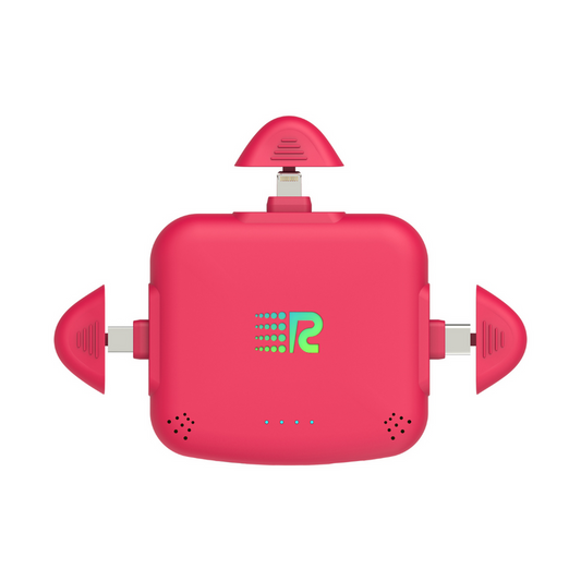 RC Universe 3-in-1 Charger