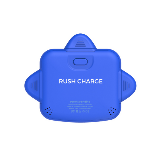 RC Universe 3-in-1 Charger