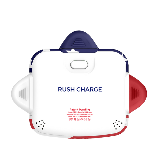 RC Universe 3-in-1 Charger
