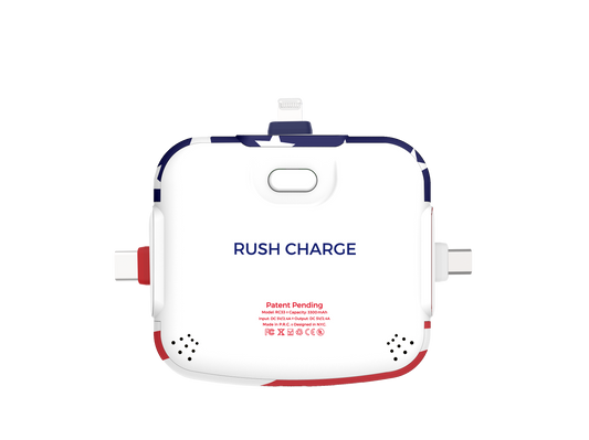 RC Universe 3-in-1 Charger