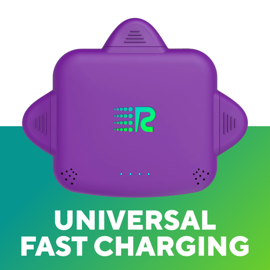RC Universe 3-in-1 Charger