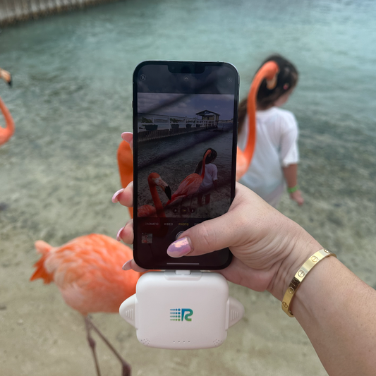 An 8-pack of Rush Charge Universe chargers in all available colors: black, white, blue, red, purple, pink, gold, and grey.