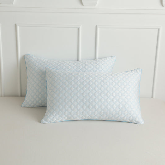 Two light blue patterned pillows on a bed with a white headboard.